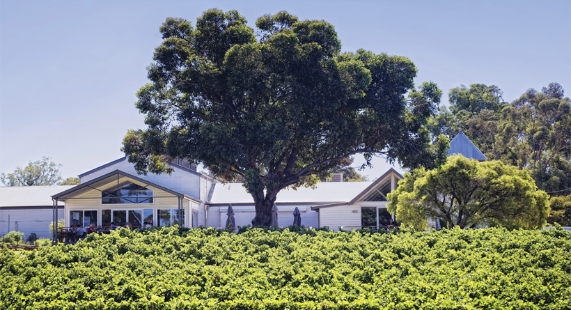 Hay Shed Hill Margaret River cellar door | Halliday Wine Companion